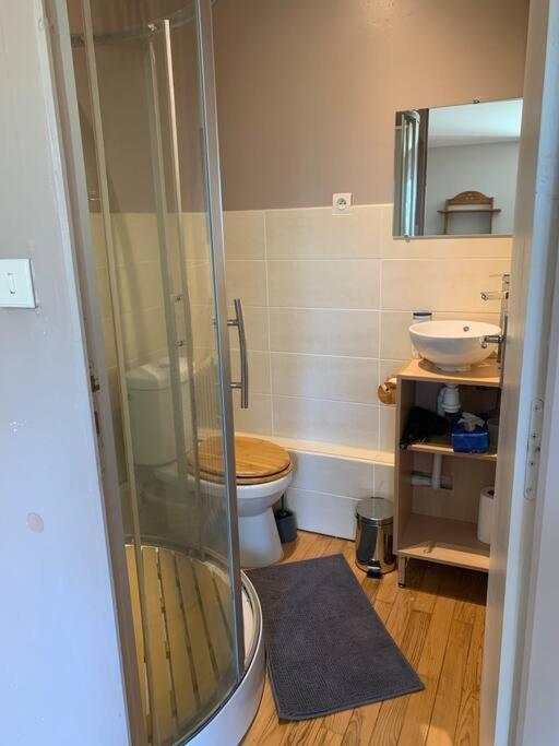 Chez-Sixtine Apartment Albon Bagian luar foto